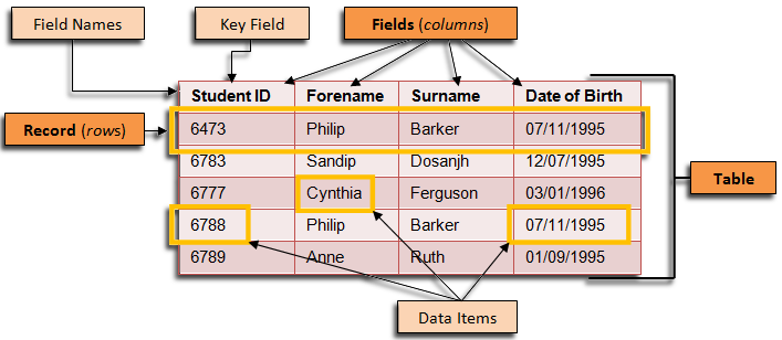 Database Table. Database field and record. Атрибут data. What is database. Database fields